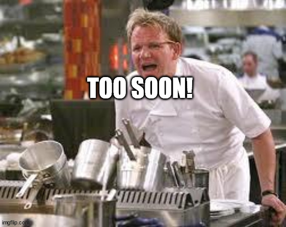 Gordon ramsey | TOO SOON! | image tagged in gordon ramsey | made w/ Imgflip meme maker