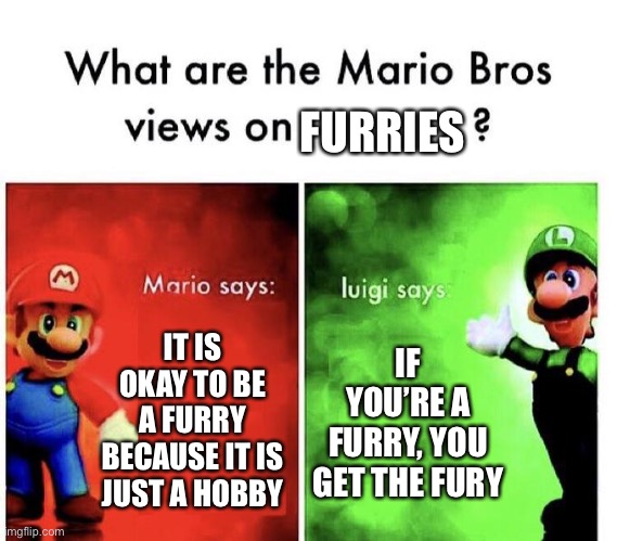 Furries are a disgrace to our society | FURRIES; IT IS OKAY TO BE A FURRY BECAUSE IT IS JUST A HOBBY; IF YOU’RE A FURRY, YOU GET THE FURY | image tagged in mario bros views | made w/ Imgflip meme maker