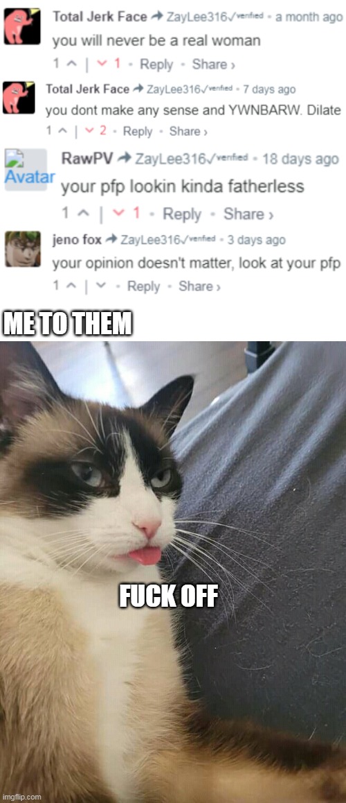 The pfp has trans flag...Fellas,don't be like them | ME TO THEM; FUCK OFF | image tagged in lgbt,transphobic,profile picture,haters | made w/ Imgflip meme maker