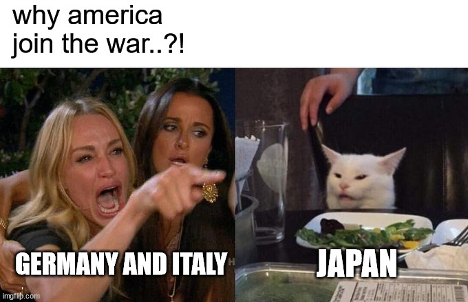 ww2 in a nutshell | why america join the war..?! JAPAN; GERMANY AND ITALY | image tagged in memes,woman yelling at cat,historical meme | made w/ Imgflip meme maker