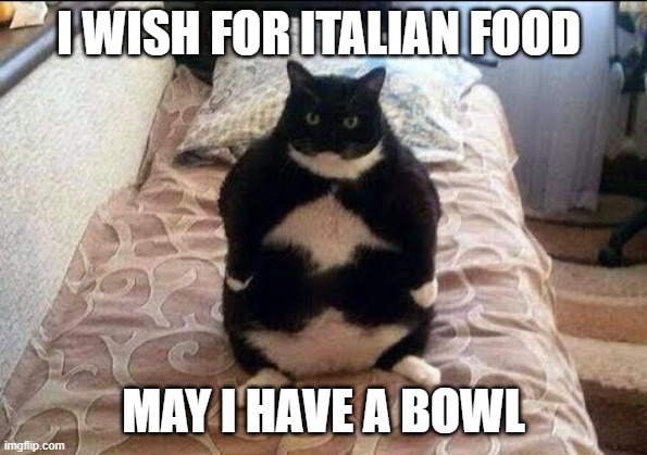 Chonki Babbie Hungy | I WISH FOR ITALIAN FOOD MAY I HAVE A BOWL | image tagged in chonki babbie hungy | made w/ Imgflip meme maker