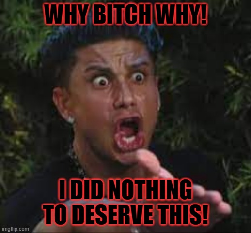Y | WHY BITCH WHY! I DID NOTHING TO DESERVE THIS! | image tagged in why | made w/ Imgflip meme maker