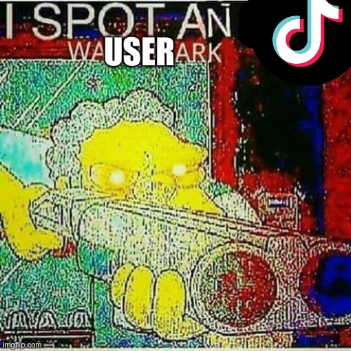 I SPOT AN x WATERMARK | USER | image tagged in i spot an x watermark | made w/ Imgflip meme maker