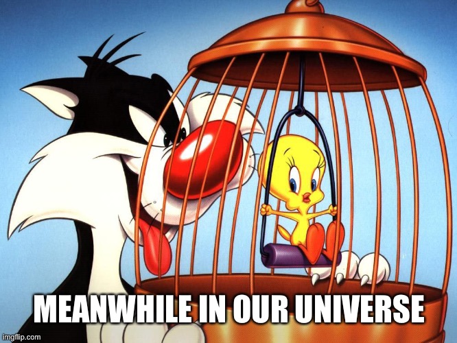 Tweety Bird | MEANWHILE IN OUR UNIVERSE | image tagged in tweety bird | made w/ Imgflip meme maker
