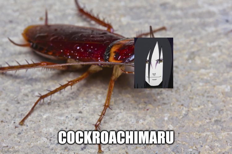 Cockroachimaru | COCKROACHIMARU | image tagged in roflmao | made w/ Imgflip meme maker