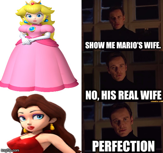 one for all the times we ran out of guarters | SHOW ME MARIO'S WIFE. NO, HIS REAL WIFE; PERFECTION | image tagged in perfection | made w/ Imgflip meme maker