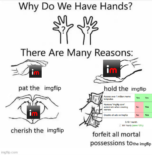Imgflip plz dont sue me | imgflip; imgflip; imgflip; the imgflip | image tagged in why do we have hands all blank,memes,meme,funny,imgflip | made w/ Imgflip meme maker