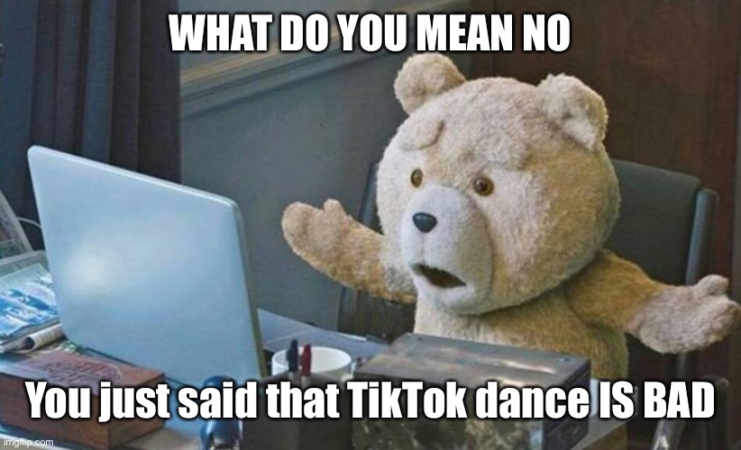 what do you mean? | WHAT DO YOU MEAN NO You just said that TikTok dance IS BAD | image tagged in what do you mean | made w/ Imgflip meme maker