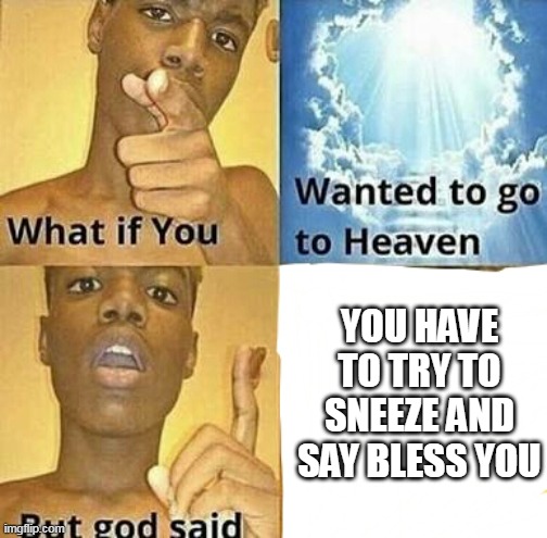 What if you wanted to go to Heaven | YOU HAVE TO TRY TO SNEEZE AND SAY BLESS YOU | image tagged in what if you wanted to go to heaven | made w/ Imgflip meme maker