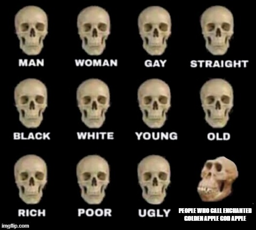 idiot skull | PEOPLE WHO CALL ENCHANTED GOLDEN APPLE GOD APPLE | image tagged in idiot skull | made w/ Imgflip meme maker