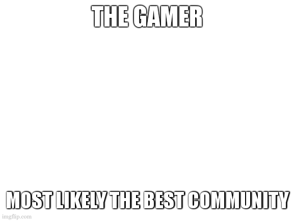 Blank White Template | THE GAMER; MOST LIKELY THE BEST COMMUNITY | image tagged in blank white template | made w/ Imgflip meme maker