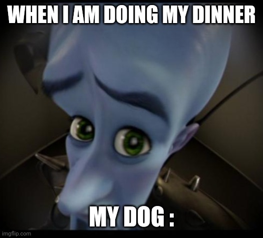 Megamind peeking | WHEN I AM DOING MY DINNER; MY DOG : | image tagged in no bitches | made w/ Imgflip meme maker