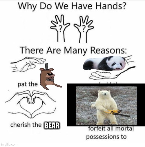 Why do we have hands | BEAR | image tagged in why do we have hands | made w/ Imgflip meme maker