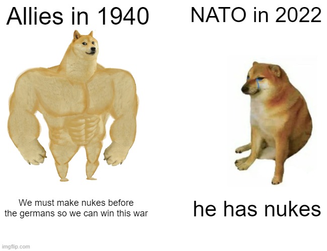 Buff Doge vs. Cheems | Allies in 1940; NATO in 2022; We must make nukes before the germans so we can win this war; he has nukes | image tagged in memes,buff doge vs cheems | made w/ Imgflip meme maker