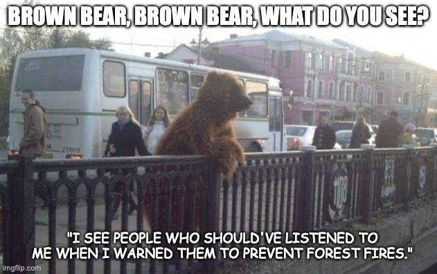 Retired Smokey | BROWN BEAR, BROWN BEAR, WHAT DO YOU SEE? "I SEE PEOPLE WHO SHOULD'VE LISTENED TO ME WHEN I WARNED THEM TO PREVENT FOREST FIRES." | image tagged in memes,city bear | made w/ Imgflip meme maker