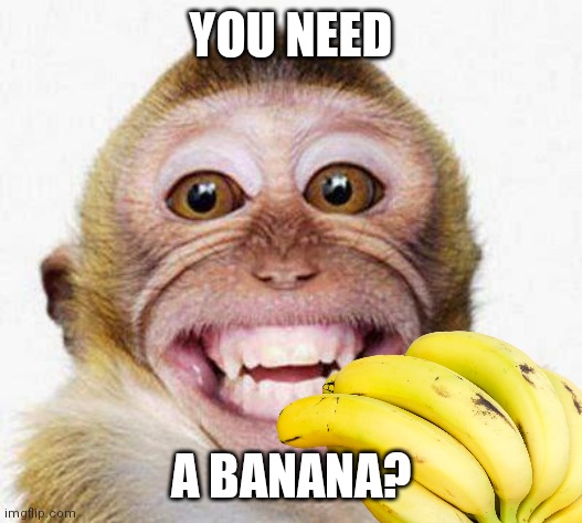 monke | YOU NEED; A BANANA? | image tagged in monkey smile,memes | made w/ Imgflip meme maker