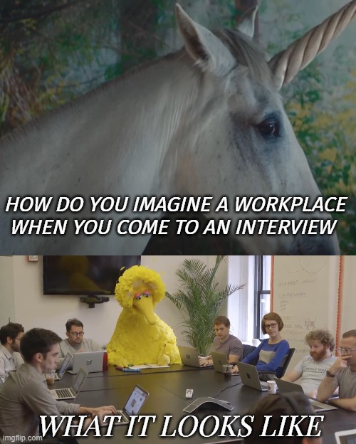 Workplace | HOW DO YOU IMAGINE A WORKPLACE WHEN YOU COME TO AN INTERVIEW; WHAT IT LOOKS LIKE | image tagged in big bird office,unicorn | made w/ Imgflip meme maker