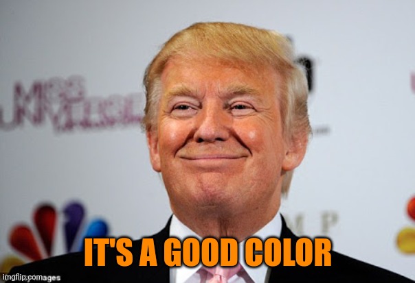 IT'S A GOOD COLOR | image tagged in donald trump approves | made w/ Imgflip meme maker