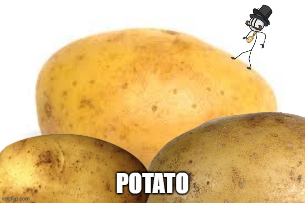 Potato | POTATO | image tagged in potato,more potato,more and more potato,mega more potato,gif,not really a gif | made w/ Imgflip meme maker