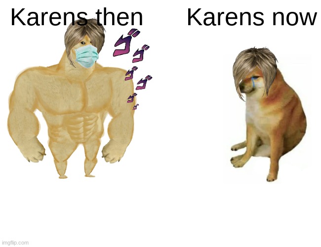 Buff Doge vs. Cheems Meme | Karens then; Karens now | image tagged in memes,buff doge vs cheems | made w/ Imgflip meme maker