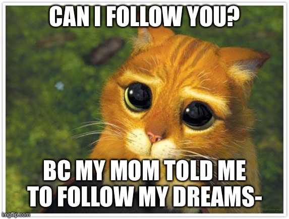 uh | CAN I FOLLOW YOU? BC MY MOM TOLD ME TO FOLLOW MY DREAMS- | image tagged in memes,shrek cat,lmao | made w/ Imgflip meme maker