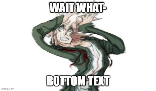 komaeda | WAIT WHAT- BOTTOM TEXT | image tagged in komaeda | made w/ Imgflip meme maker