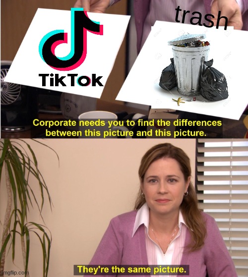 They're The Same Picture | trash | image tagged in memes,they're the same picture | made w/ Imgflip meme maker