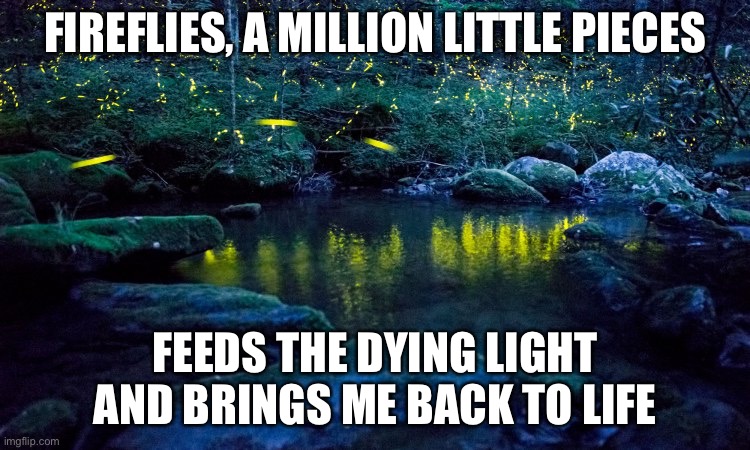 Ignite boiz | FIREFLIES, A MILLION LITTLE PIECES; FEEDS THE DYING LIGHT AND BRINGS ME BACK TO LIFE | image tagged in fireflies | made w/ Imgflip meme maker