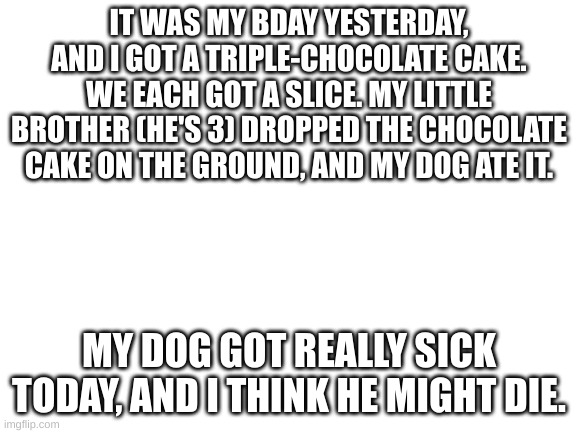 Blank White Template | IT WAS MY BDAY YESTERDAY, AND I GOT A TRIPLE-CHOCOLATE CAKE. WE EACH GOT A SLICE. MY LITTLE BROTHER (HE'S 3) DROPPED THE CHOCOLATE CAKE ON THE GROUND, AND MY DOG ATE IT. MY DOG GOT REALLY SICK TODAY, AND I THINK HE MIGHT DIE. | image tagged in blank white template | made w/ Imgflip meme maker