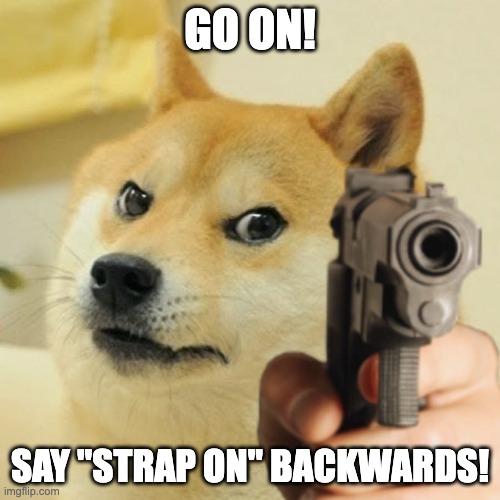Say "Strap on" backwards! | GO ON! SAY "STRAP ON" BACKWARDS! | image tagged in doge holding a gun,memes,funny memes,backwards | made w/ Imgflip meme maker