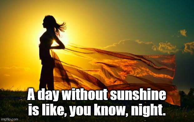 beauty in sunshine | A day without sunshine is like, you know, night. | image tagged in beauty in sunshine,eye roll | made w/ Imgflip meme maker