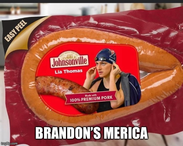 Brandon’s is ok with it | BRANDON’S MERICA | image tagged in women,fun,swim,memr | made w/ Imgflip meme maker