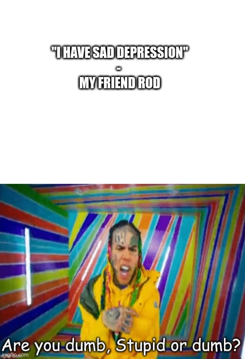 idiot | "I HAVE SAD DEPRESSION"
- 
MY FRIEND ROD | image tagged in blank white template,are you dumb stupid or dumb | made w/ Imgflip meme maker