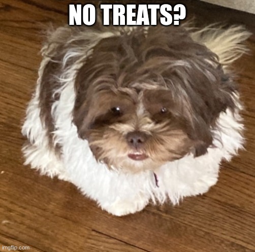 NO TREATS? | made w/ Imgflip meme maker