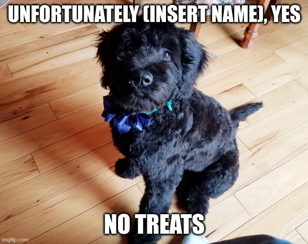 UNFORTUNATELY (INSERT NAME), YES NO TREATS | made w/ Imgflip meme maker
