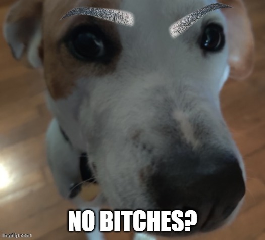 LMAO Sochi is so cute in this pic | NO BITCHES? | made w/ Imgflip meme maker