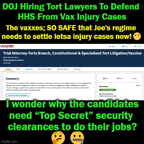 They Can No Longer HIDE IT as Everything I Told You Is Coming Out; SAD but TRUE! | DOJ Hiring Tort Lawyers To Defend 
HHS From Vax Injury Cases; The vaxxes; SO SAFE that Joe's regime 
needs to settle lotsa injury cases now!😶; I wonder why the candidates
need “Top Secret” security 
clearances to do their jobs? 🤔🤐 | image tagged in politics,covid vaccine,side effects,death,lawyers,biden and doj | made w/ Imgflip meme maker