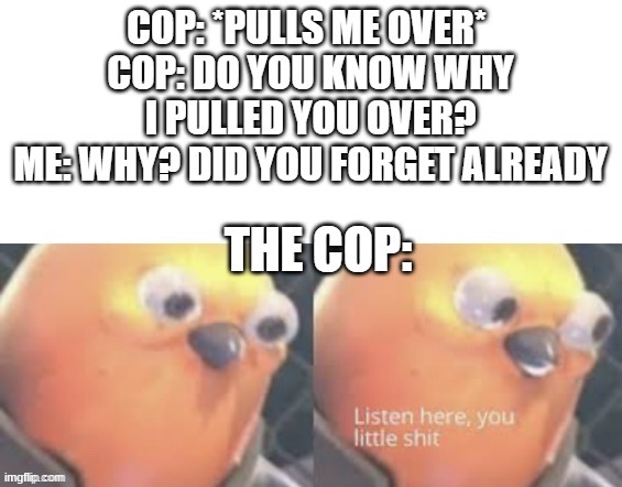 Don't actually say this unless if the cop has a sense of humor | image tagged in now listen here you little shit,oh wow are you actually reading these tags | made w/ Imgflip meme maker