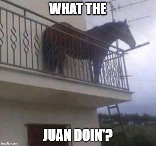 juan | WHAT THE; JUAN DOIN'? | image tagged in juan | made w/ Imgflip meme maker