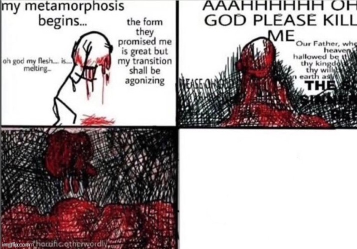 High Quality Metamorphosis blank Blank Meme Template