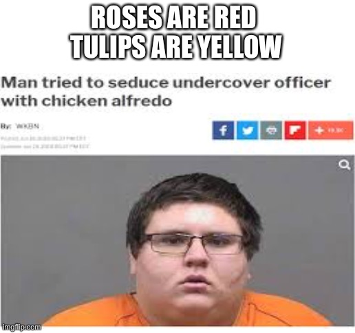 ROSES ARE RED 
TULIPS ARE YELLOW | image tagged in blank white template | made w/ Imgflip meme maker