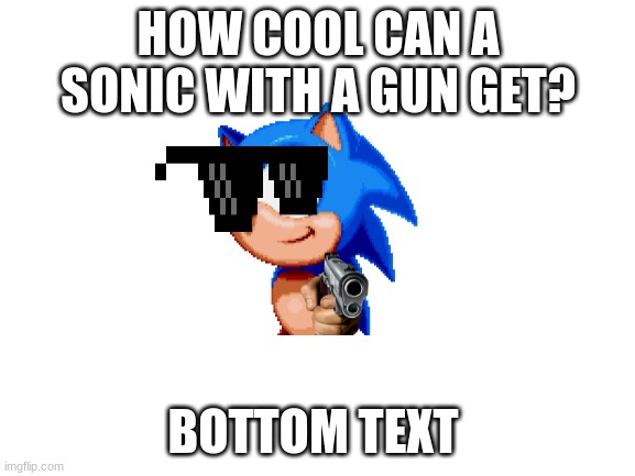 never gonna give you up | HOW COOL CAN A SONIC WITH A GUN GET? BOTTOM TEXT | image tagged in blank white template,sonic | made w/ Imgflip meme maker