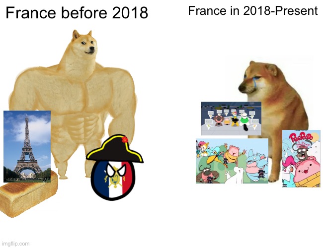 I still like France | France before 2018; France in 2018-Present | image tagged in memes,buff doge vs cheems,france | made w/ Imgflip meme maker