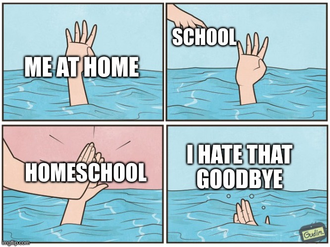 More school | SCHOOL; ME AT HOME; HOMESCHOOL; I HATE THAT
GOODBYE | image tagged in high five drown | made w/ Imgflip meme maker