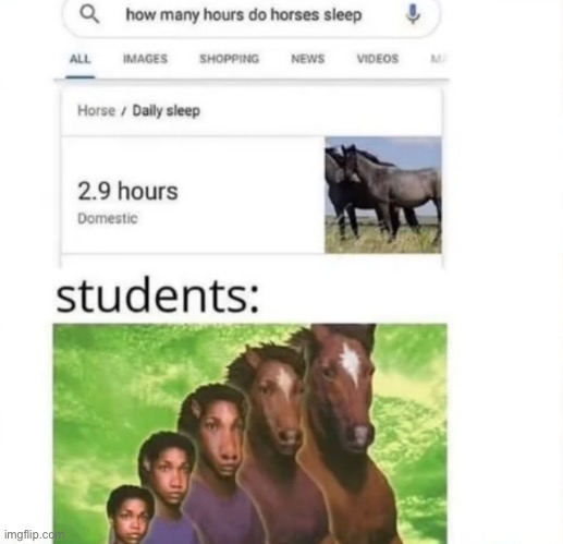 Yes | image tagged in horse,school,middle school,squidward games | made w/ Imgflip meme maker