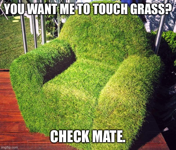 YOU WANT ME TO TOUCH GRASS? CHECK MATE. | made w/ Imgflip meme maker
