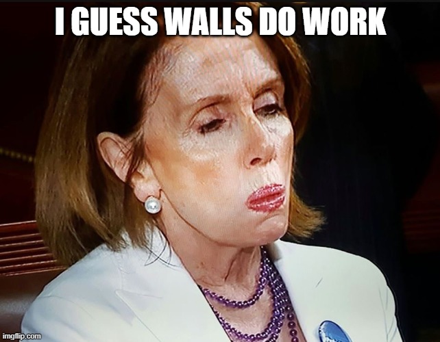 Nancy Pelosi PB Sandwich | I GUESS WALLS DO WORK | image tagged in nancy pelosi pb sandwich | made w/ Imgflip meme maker