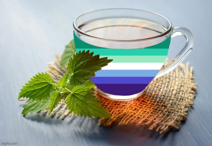 Gay tea! | image tagged in lgbtq | made w/ Imgflip meme maker