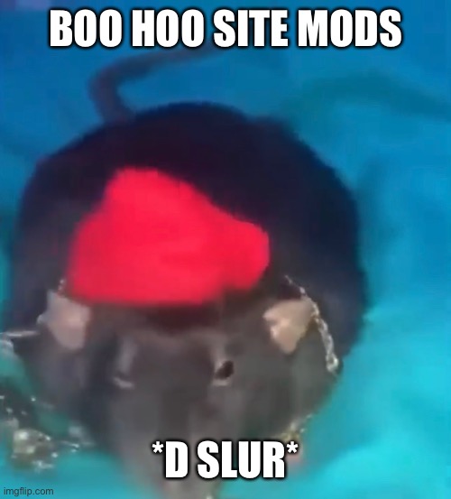 BOO HOO SITE MODS *D SLUR* | made w/ Imgflip meme maker