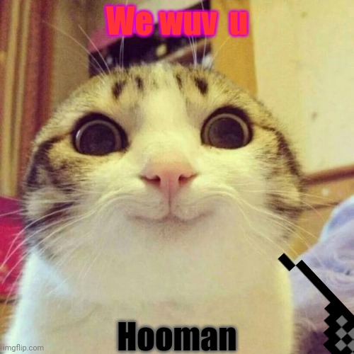 Smiling Cat | We wuv  u; Hooman | image tagged in memes,smiling cat | made w/ Imgflip meme maker